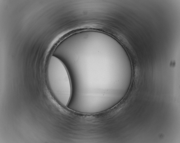 X0000111000784200906191142