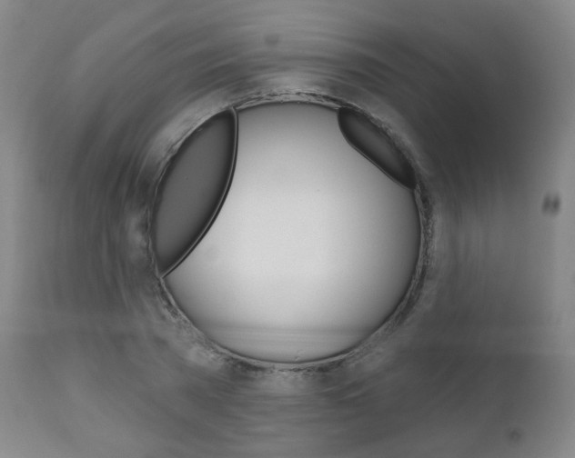 X0000111000785200906191142