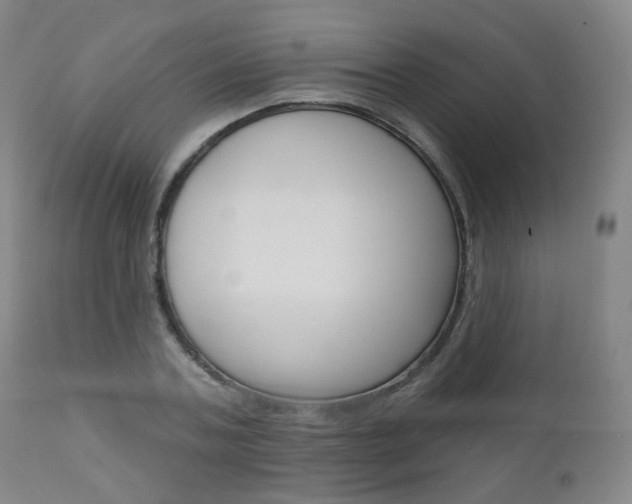 X0000111000787200906191142