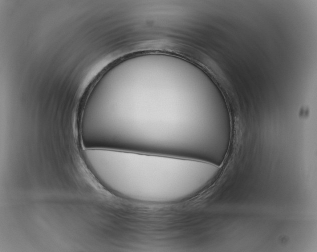 X0000111000788200906191142