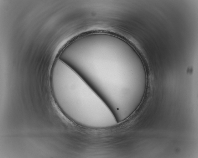 X0000111000791200906191142