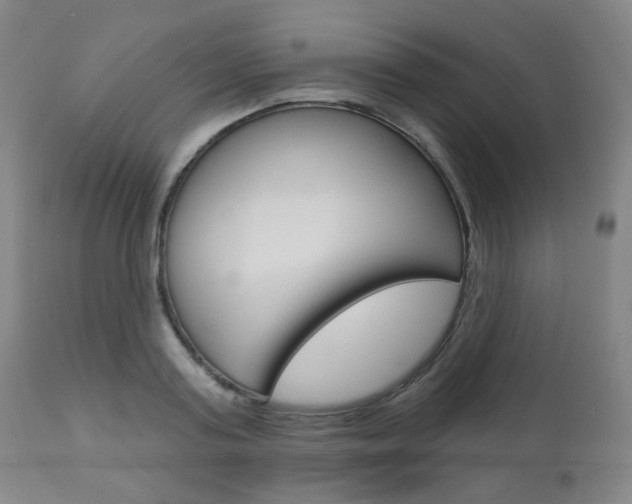 X0000111000795200906191142