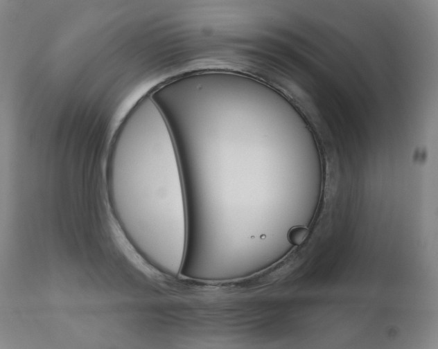X0000111000796200906191142