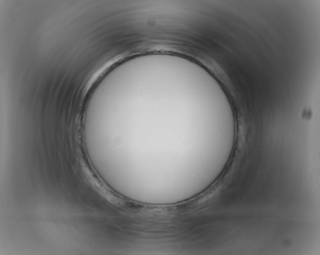 X0000111000798200906191142
