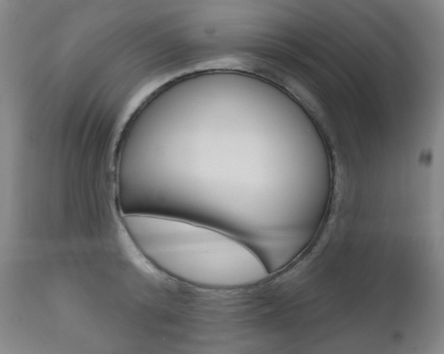 X0000111000800200906191142
