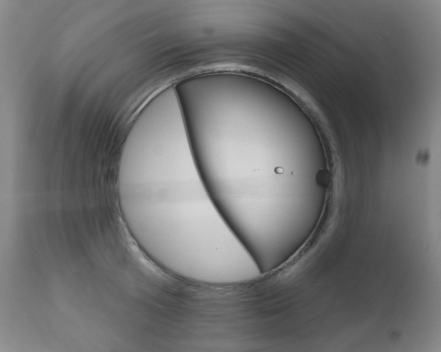 X0000111000801200906191142
