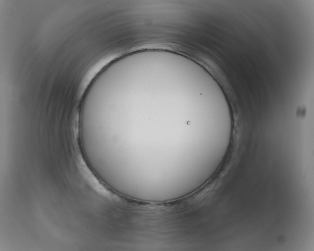 X0000111000804200906191142