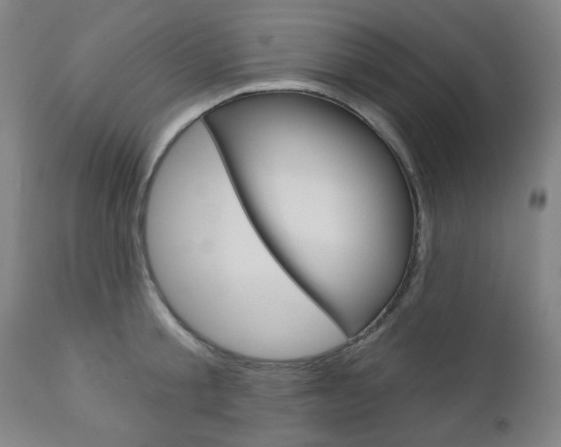 X0000111000805200906191142