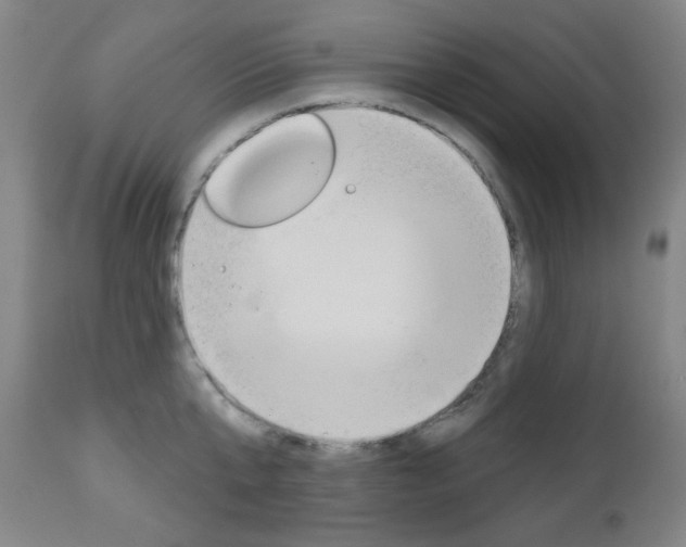 X0000111000807200906191142
