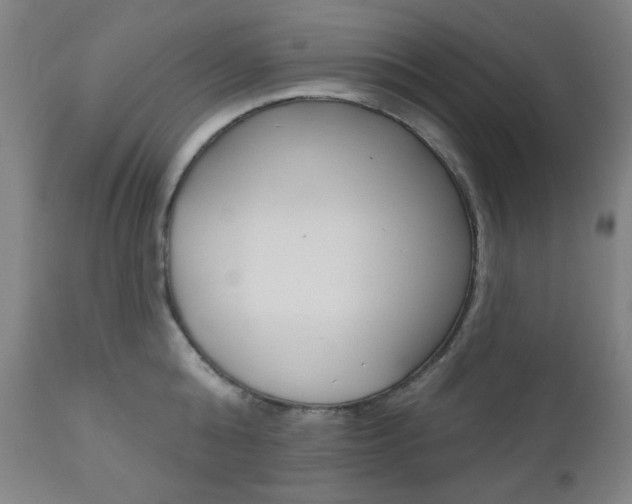 X0000111000808200906191142