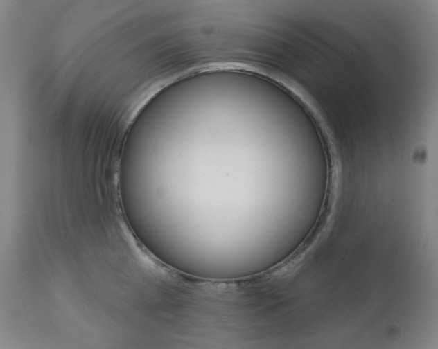 X0000111000809200906191142