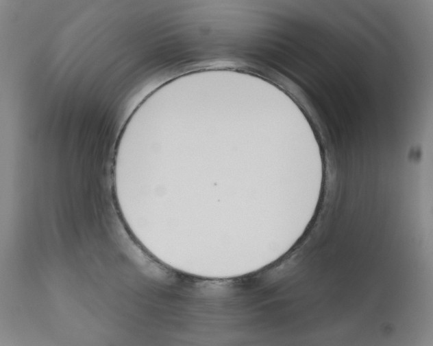 X0000111000810200906191142