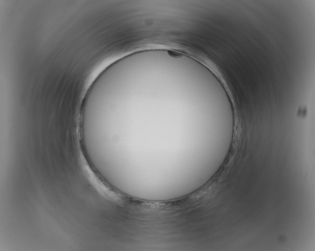 X0000111000811200906191142
