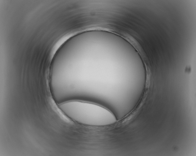 X0000111000812200906191142