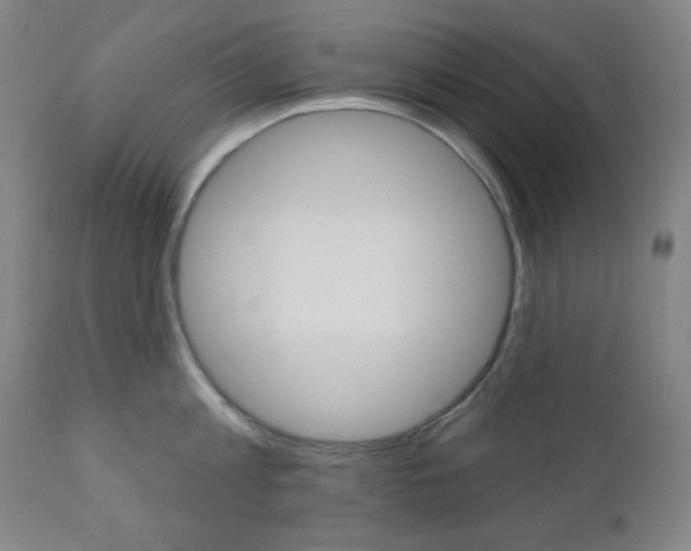 X0000111000813200906191142