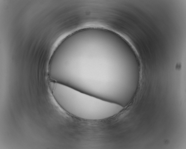 X0000111000815200906191142