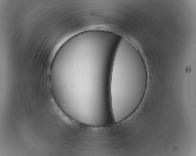 X0000111000816200906191142
