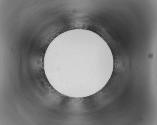 X0000111000820200906191141