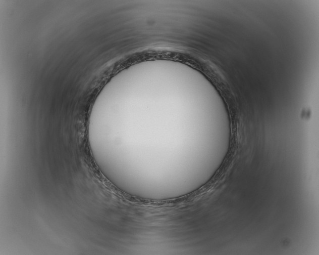 X0000111000821200906191141