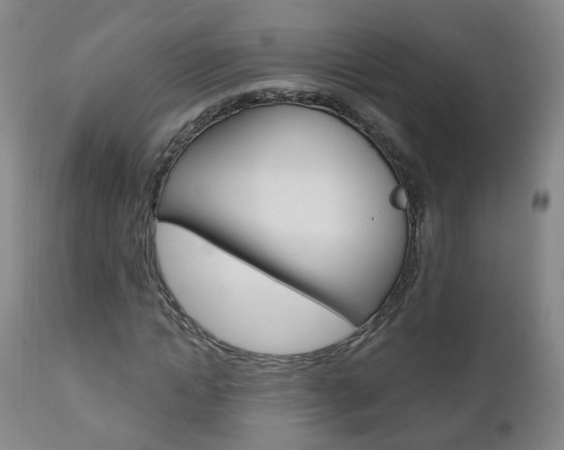 X0000111000822200906191141