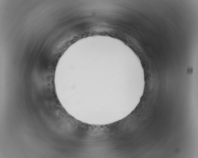 X0000111000824200906191141
