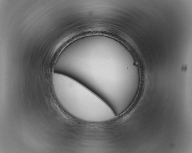 X0000111000826200906191141