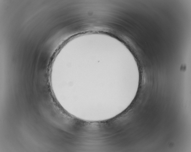 X0000111000828200906191141