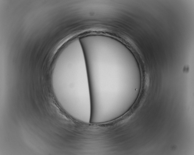 X0000111000829200906191141