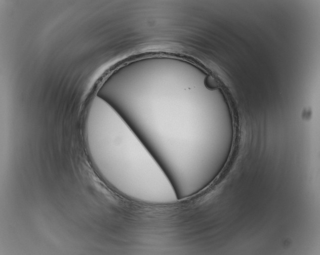 X0000111000830200906191141