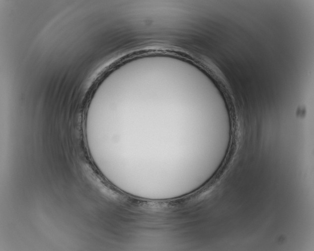 X0000111000831200906191141