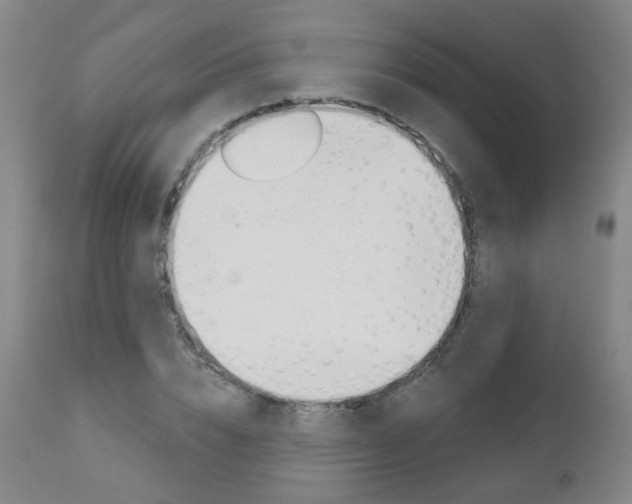 X0000111000832200906191141