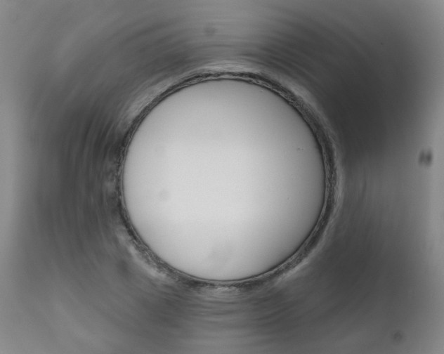 X0000111000833200906191141