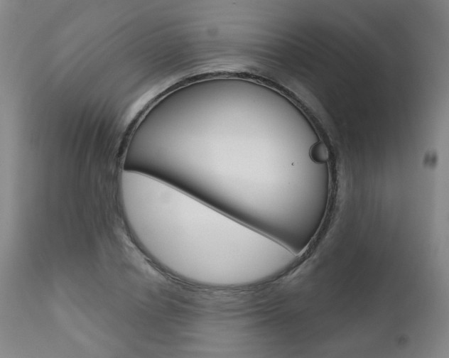 X0000111000834200906191141