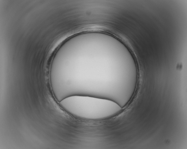 X0000111000835200906191141