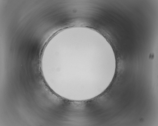 X0000111000836200906191141