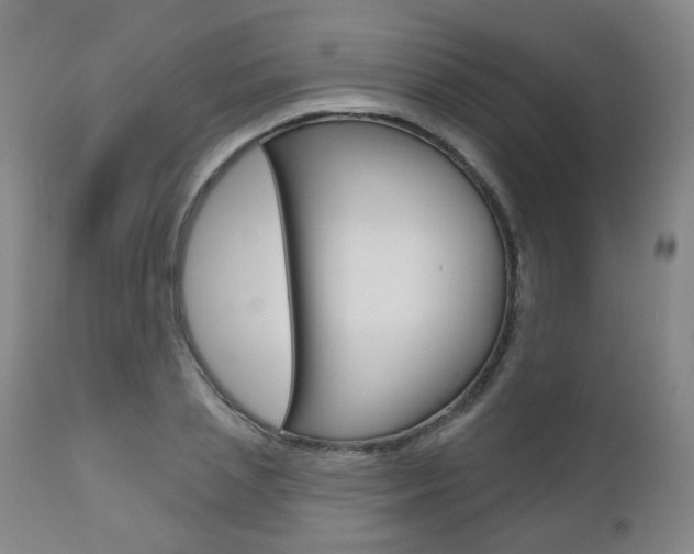 X0000111000837200906191141