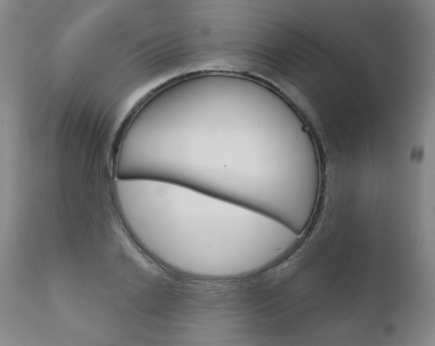 X0000111000838200906191141