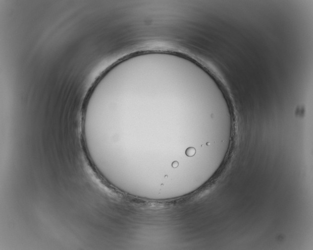 X0000111000839200906191141