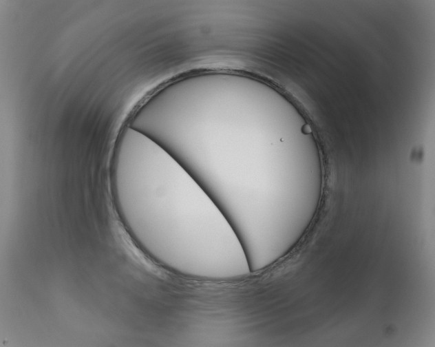 X0000111000840200906191141