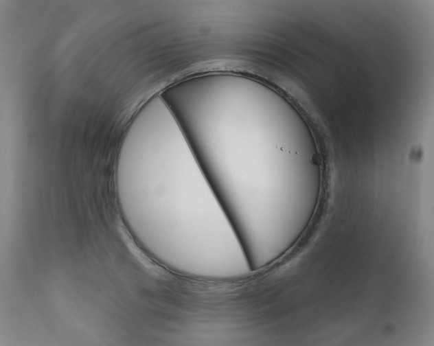 X0000111000841200906191141