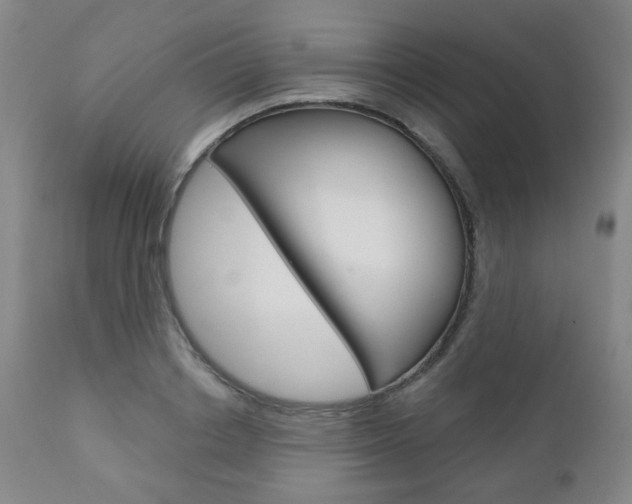X0000111000842200906191141