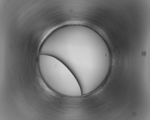 X0000111000844200906191141