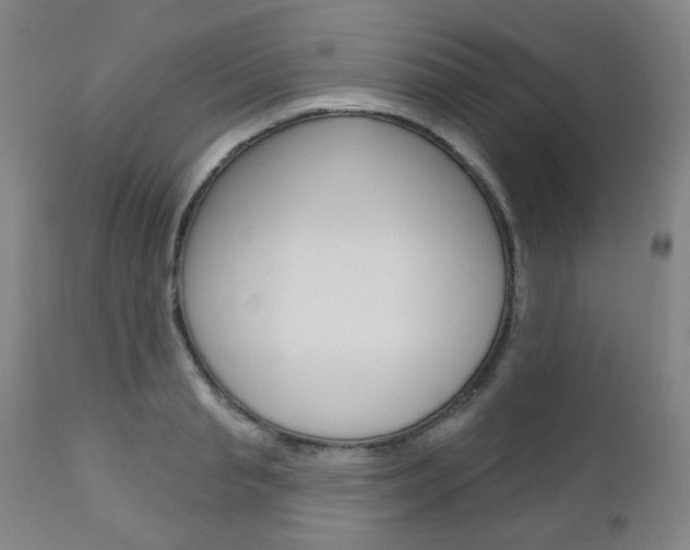 X0000111000845200906191142
