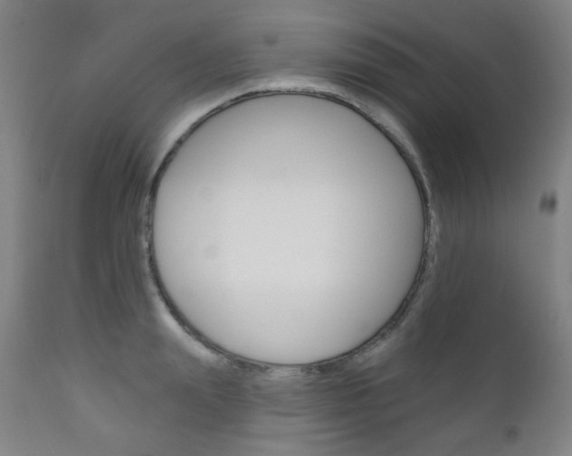 X0000111000847200906191142