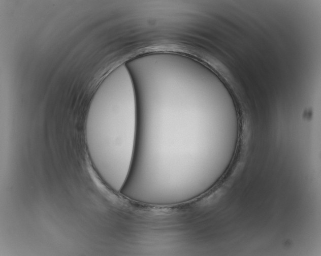 X0000111000849200906191142