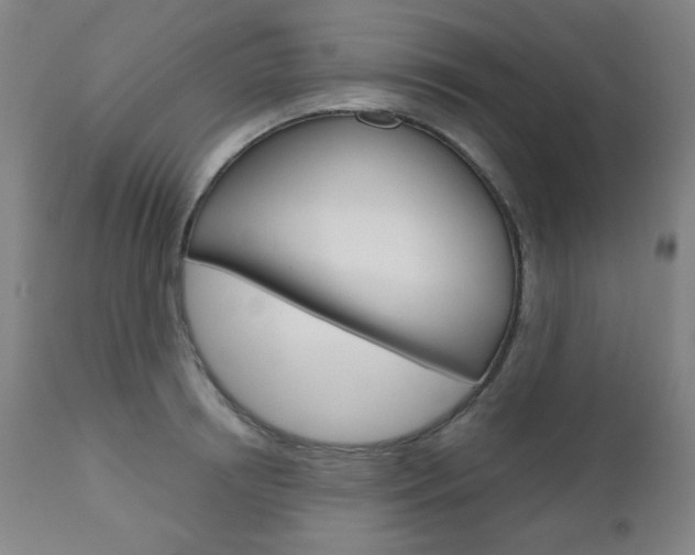 X0000111000850200906191142