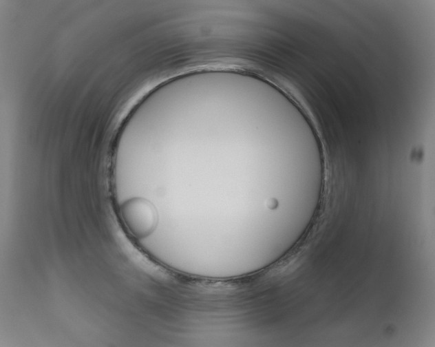 X0000111000851200906191142