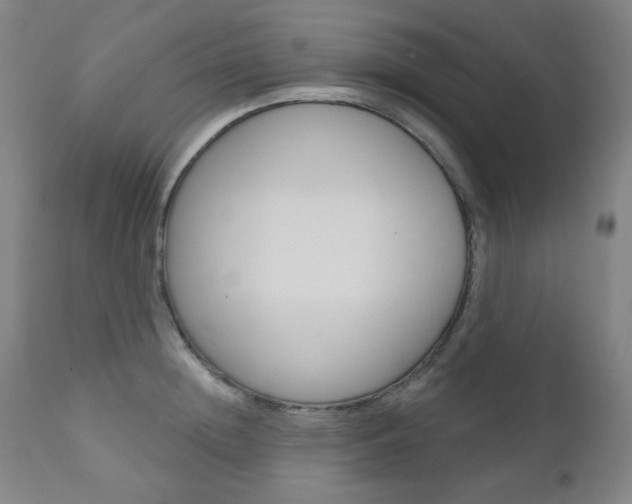 X0000111000852200906191142