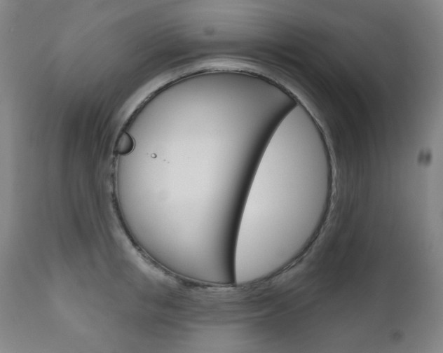 X0000111000853200906191142