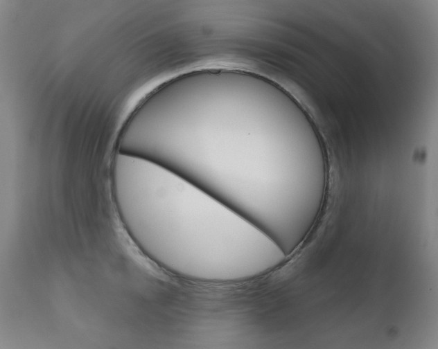 X0000111000854200906191142